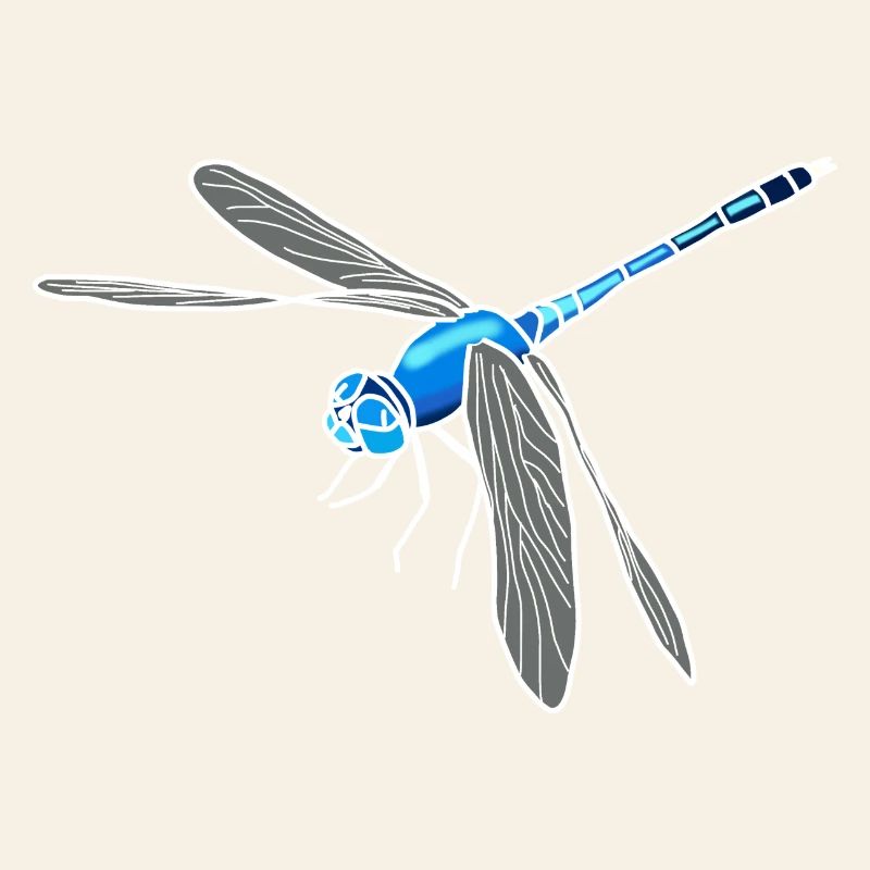 Libellule