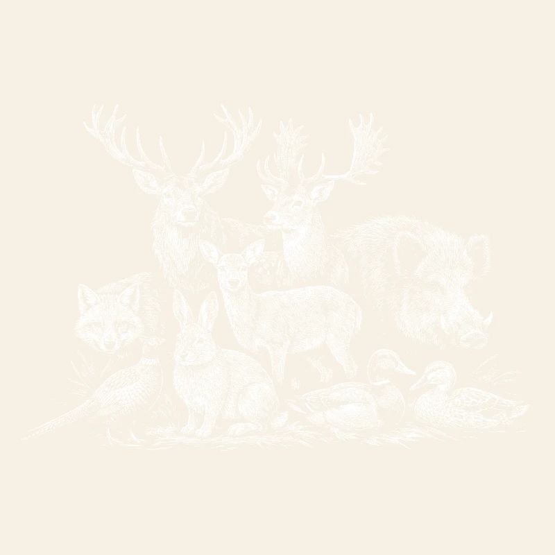 Silhouette des habitants de la forêt