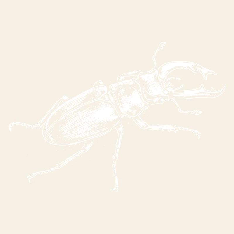 Big Insect drawing design