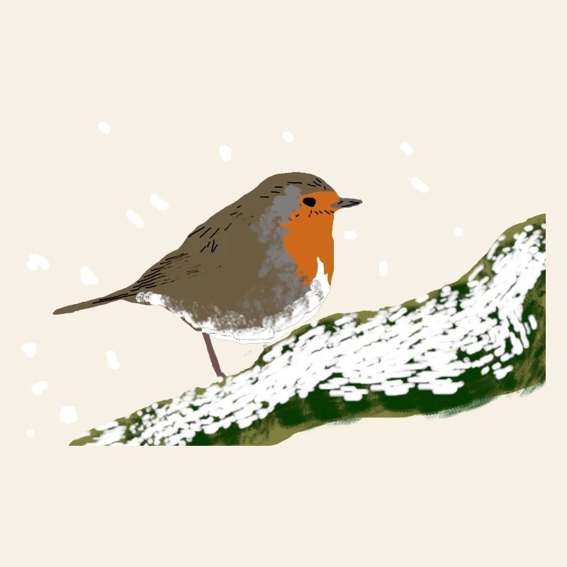 Rotkehlchen Wintermotiv Schnee Vogel Ast