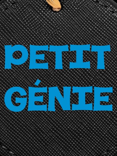 Petit Génie