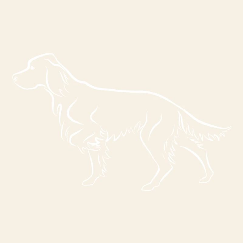 Setter ci-dessus