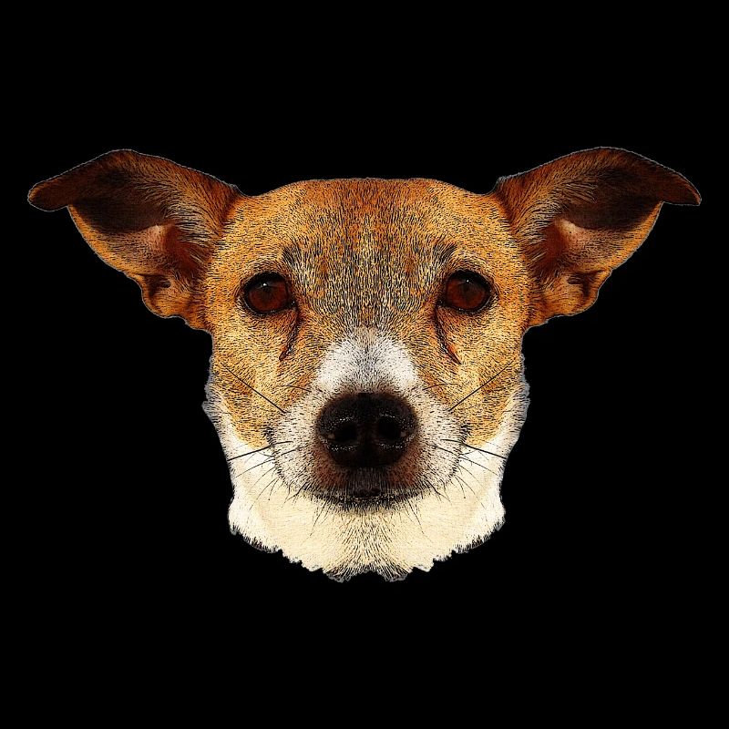 tolle geschenkideen, Jack russel terrier gesicht