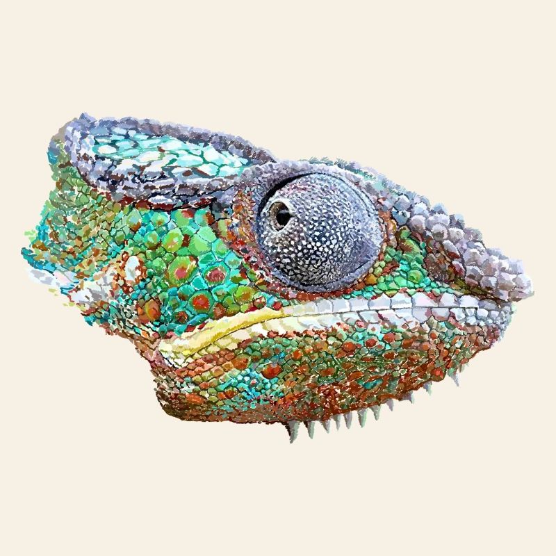 Colorful Chameleon Illustration