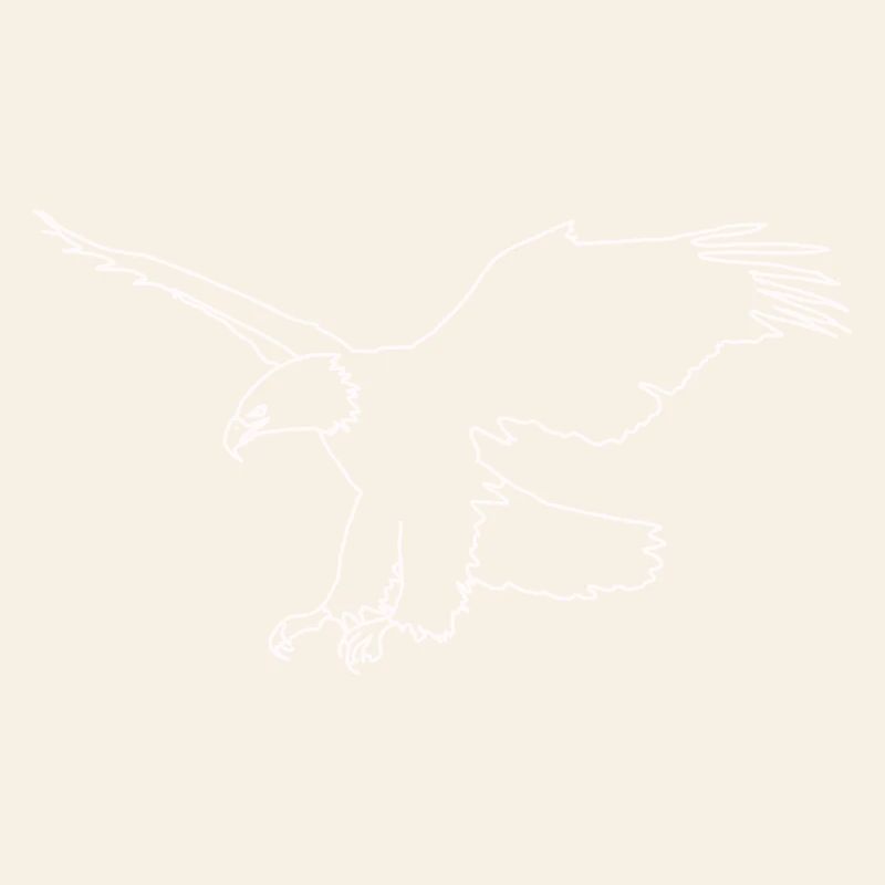 Eagle lineart