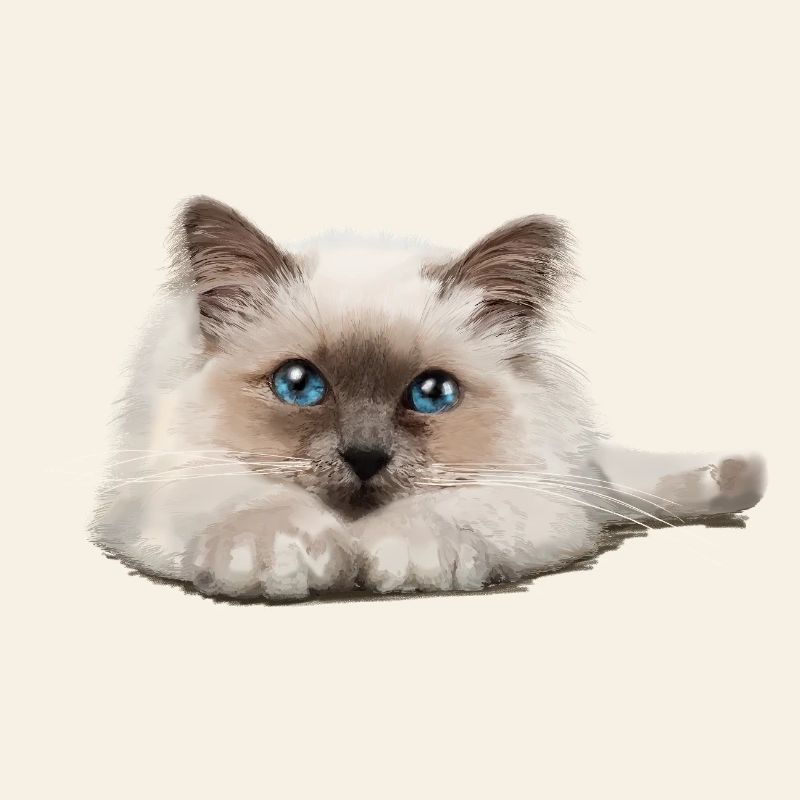 Blaue Augenkatze auf Ruhepose