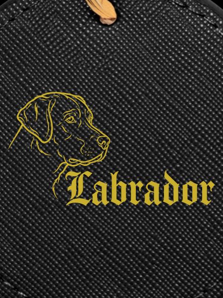 Labrador – Timeless elegance