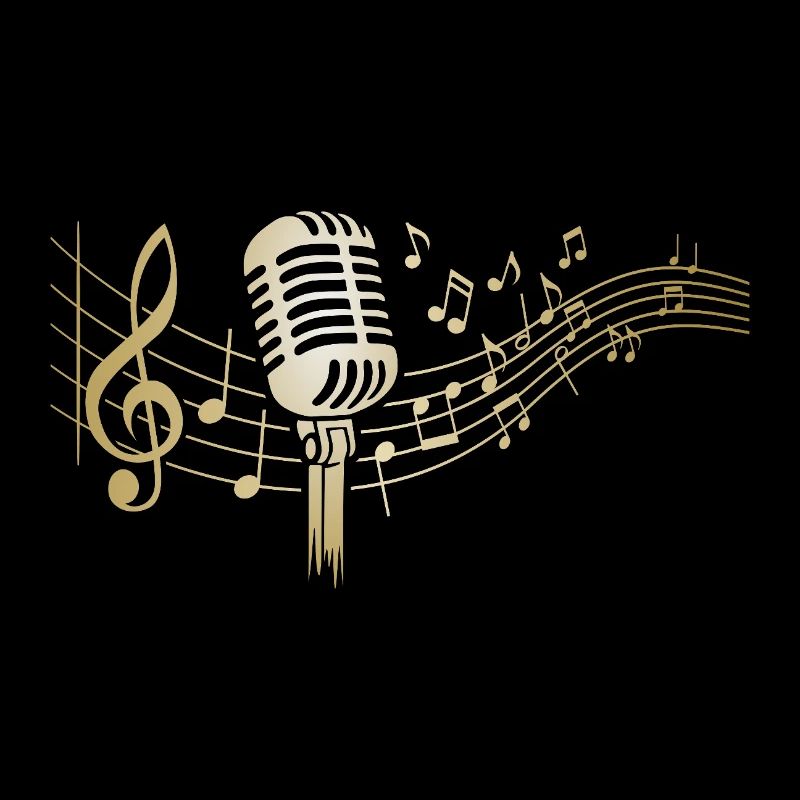 Singer Microphone Karaoke Musician Microphone Singing