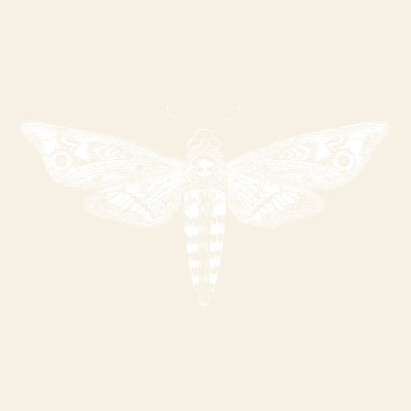 Drawing of a white skull swarm