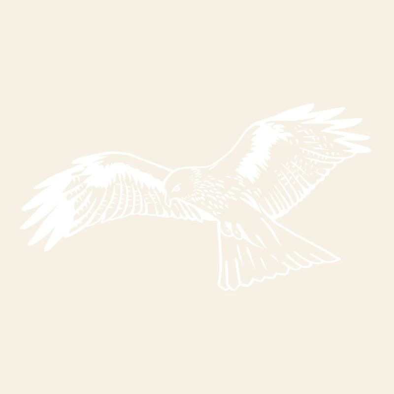Falcon in white