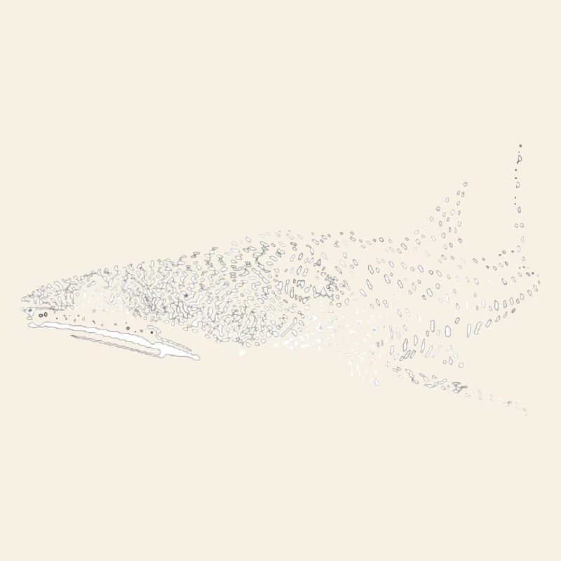 Requin-baleine