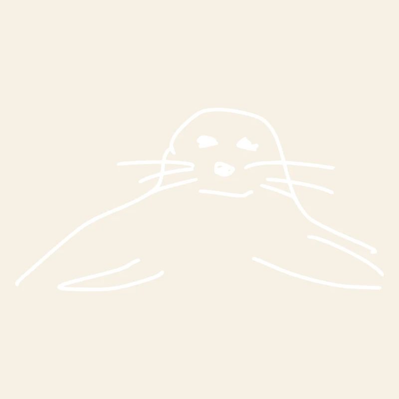 phoques phoques phoques animaux