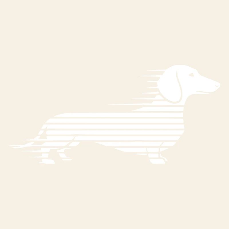 Teckel rayé en course