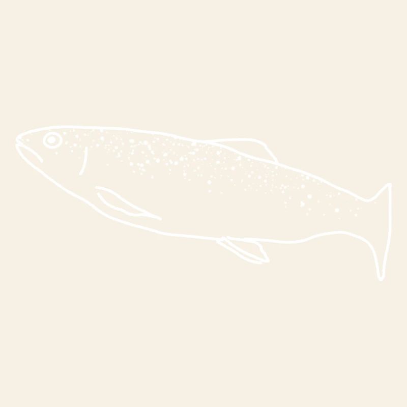 Trout lineart