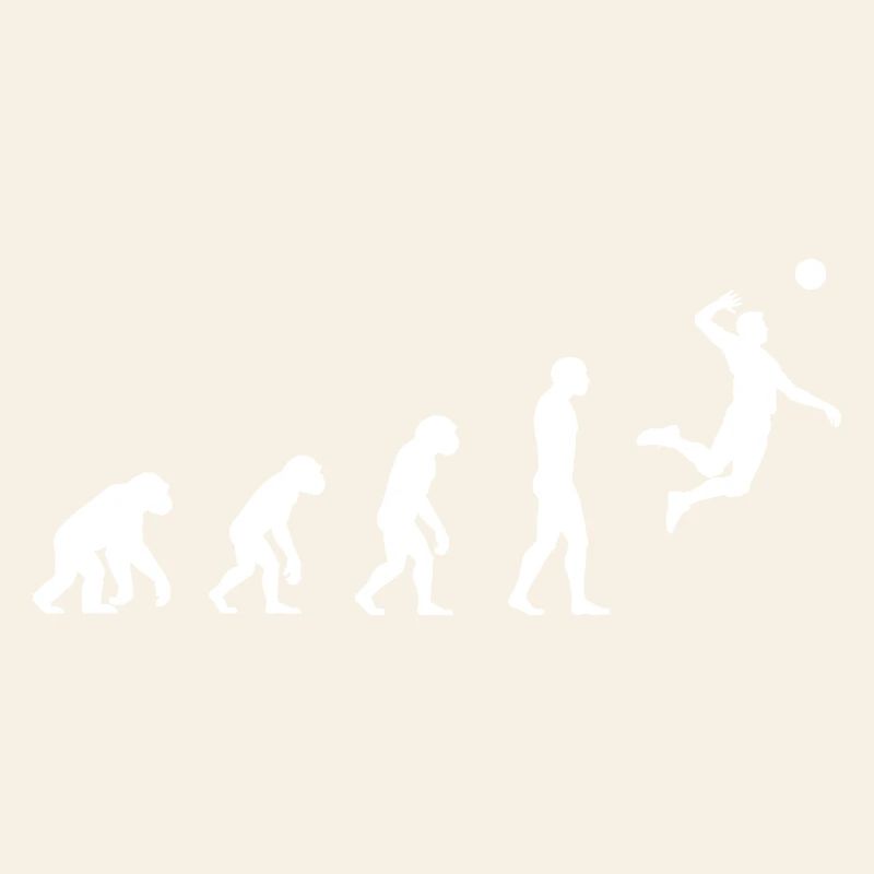 Volley-ball Evolution