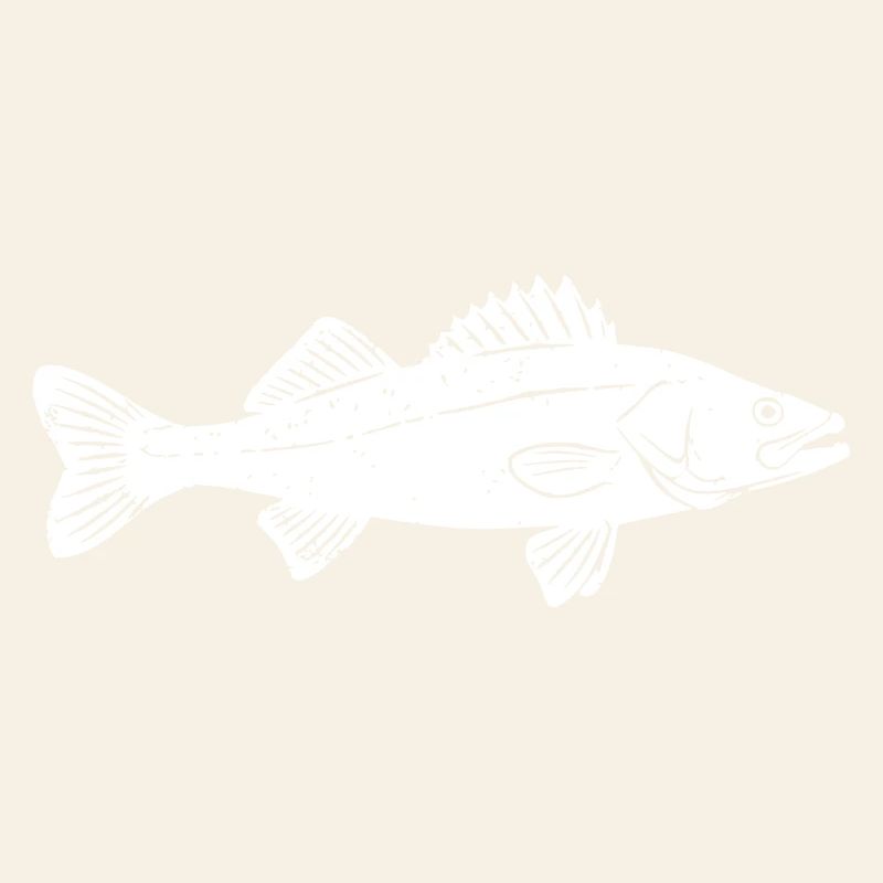 Big Zander Fish Catch Vector