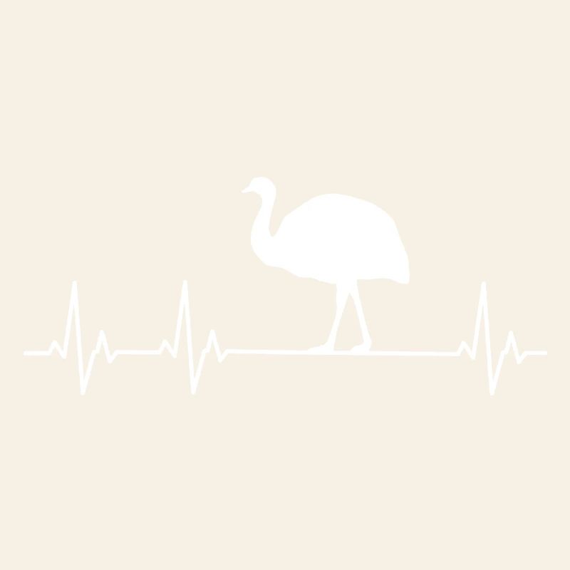 Autruche - Émeu - Nandu