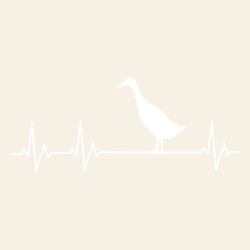 Runner Duck - Runner Duck Breeder - Indian Runner Duck