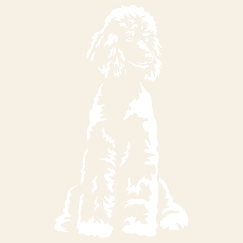 Poodle "Black Edition"