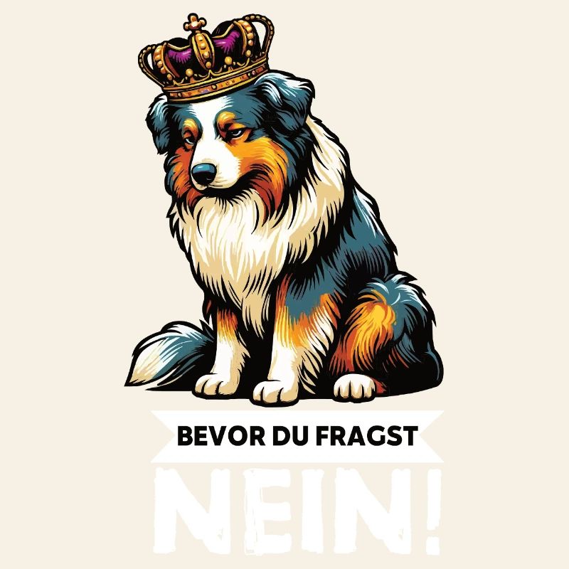 Bevor Du Fragst Australian Shepherd Aussie Aussie