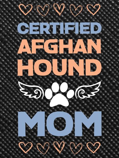 Certified Afghan Hound Mom