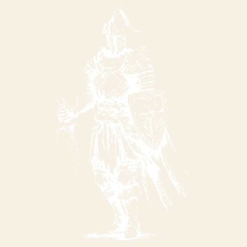 Skeleton Knight Armor