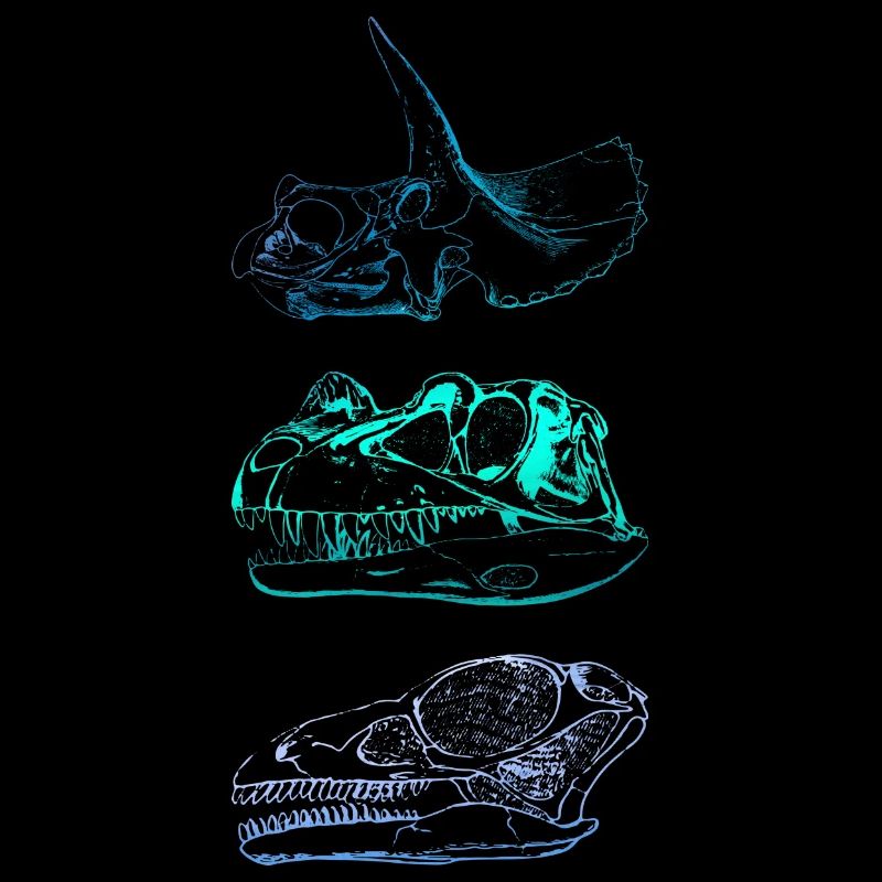 Crânes de dinosaures