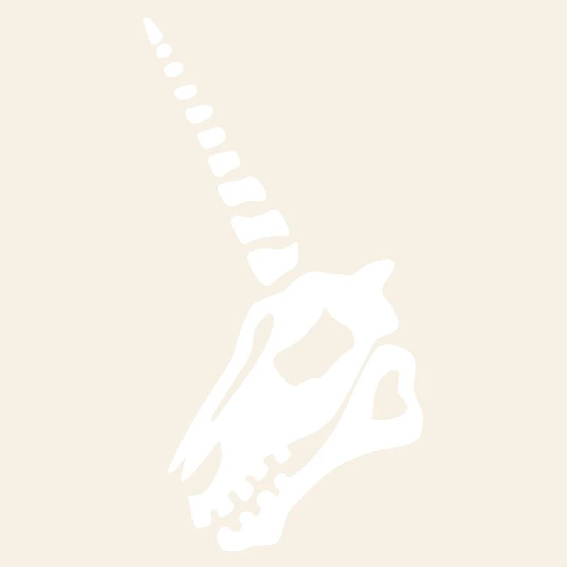 Crâne de licorne blanc