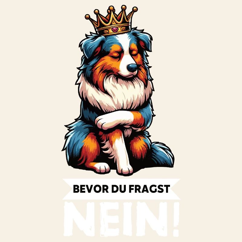 Bevor Du Fragst Australian Shepherd Aussie Aussie