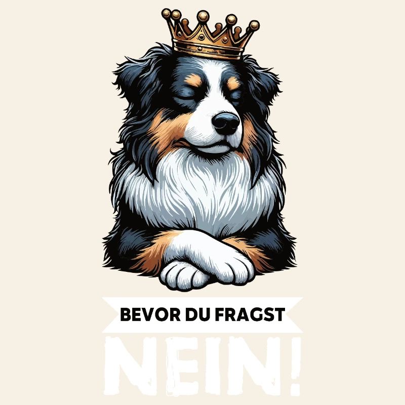 Before you ask: Australian Shepherd Aussie Aussie