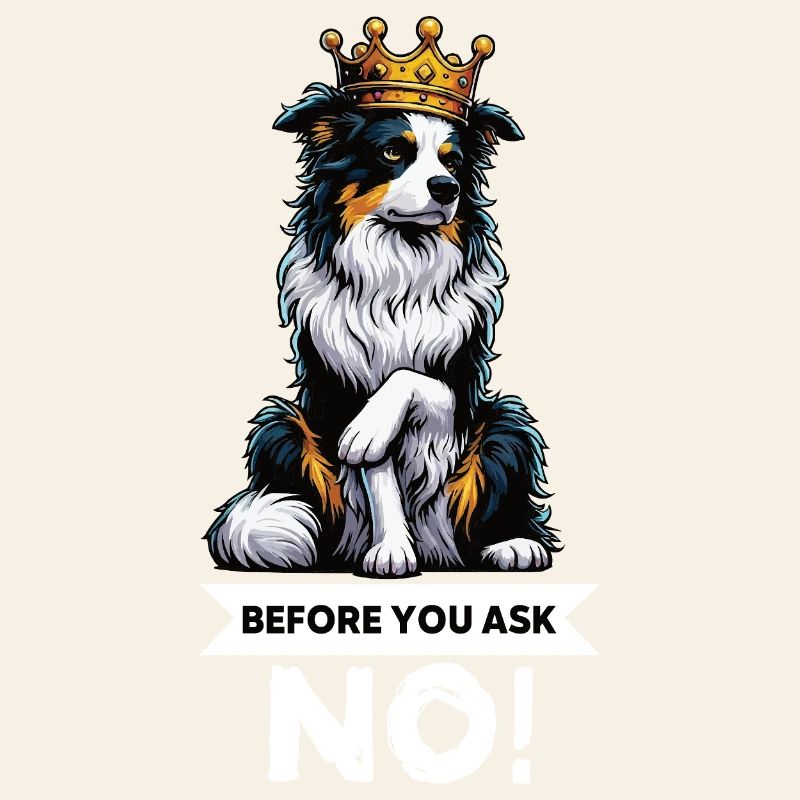 Avant de demander aux Australian Shepherds Aussie Aussies