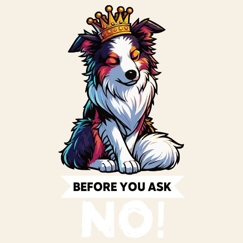 Before You Ask Australian Shepherd Aussie Aussies