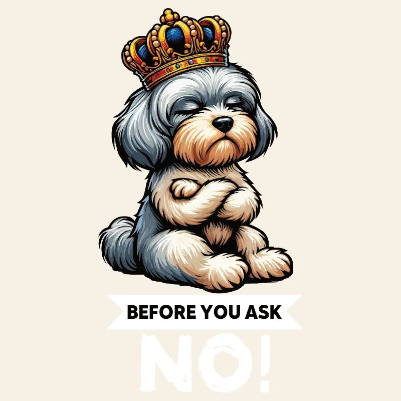 Before You Ask Havanese Havanese Keepers Havanese