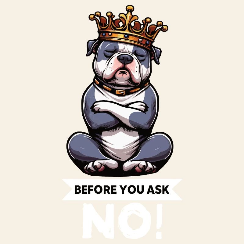 Before You Ask American Bully Bully Pit Bullys