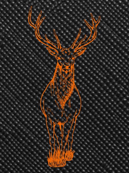 Deer orange