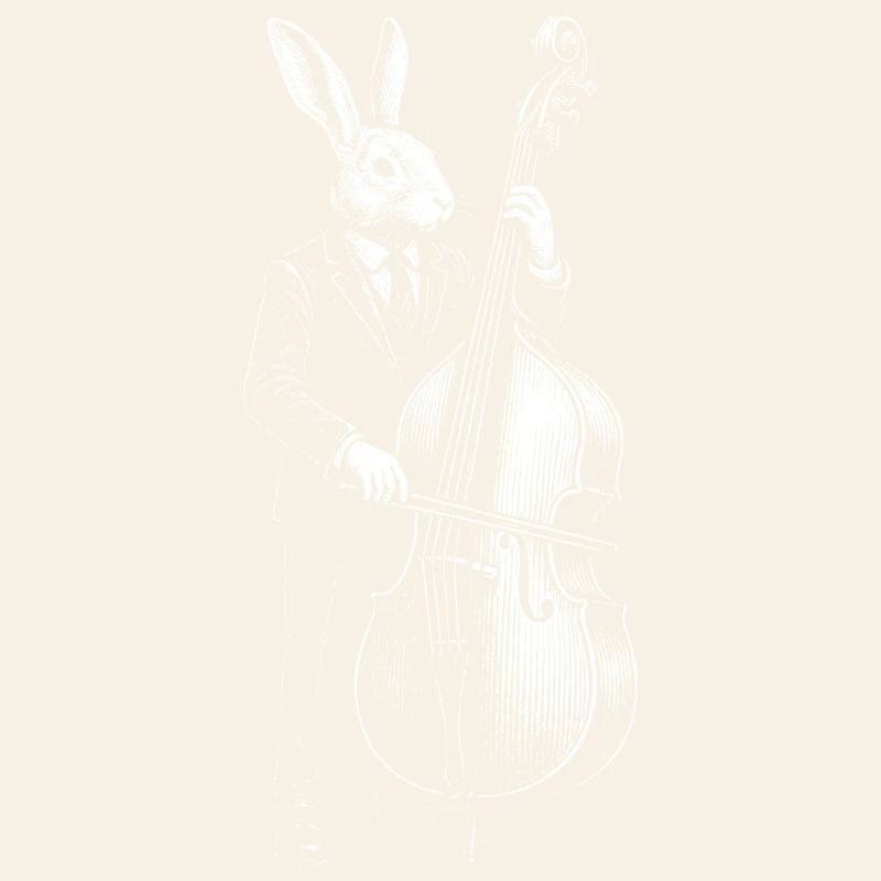Jazz Rabbit Bassista