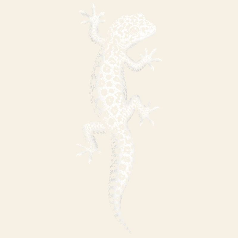 leopard gecko