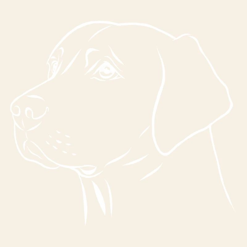 Portrait de labrador retriever