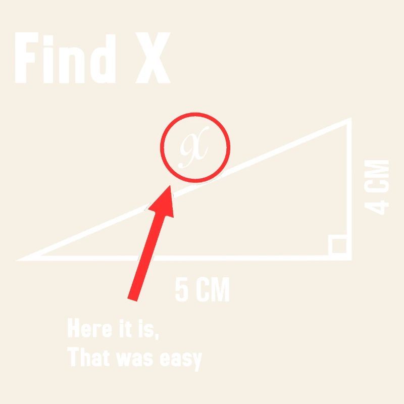 Find X Math Lover Mathematician Math Teacher