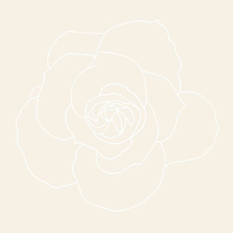 White rose