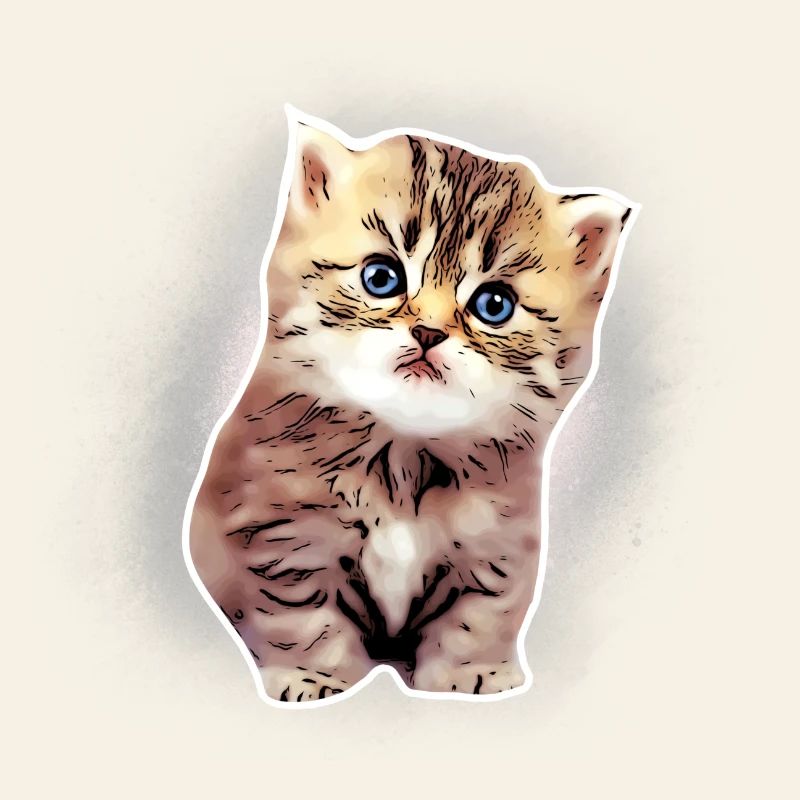 Bébé chat