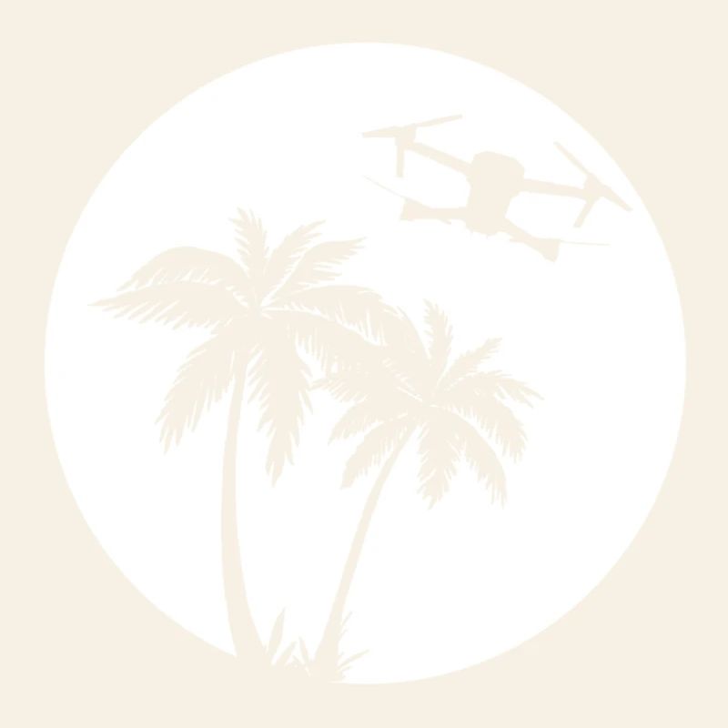 DJI MAVIC PRO DRONE Palmier Soleil