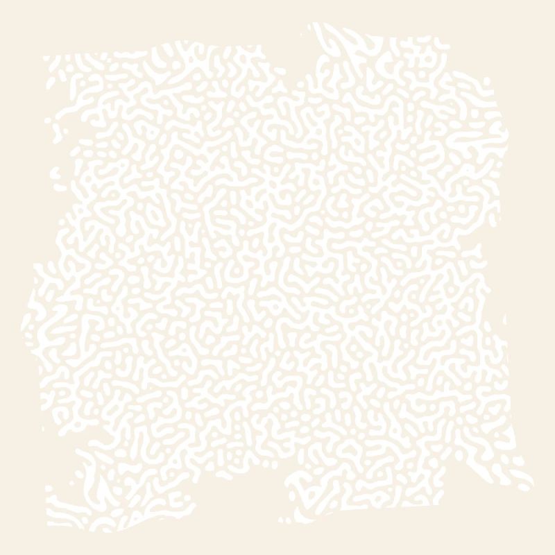Turing Pattern Blanc - Ver