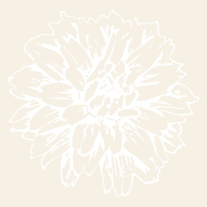 Fleur Blanche Fleurs Blanches Fleurs Blanches Fleurs Blanches
