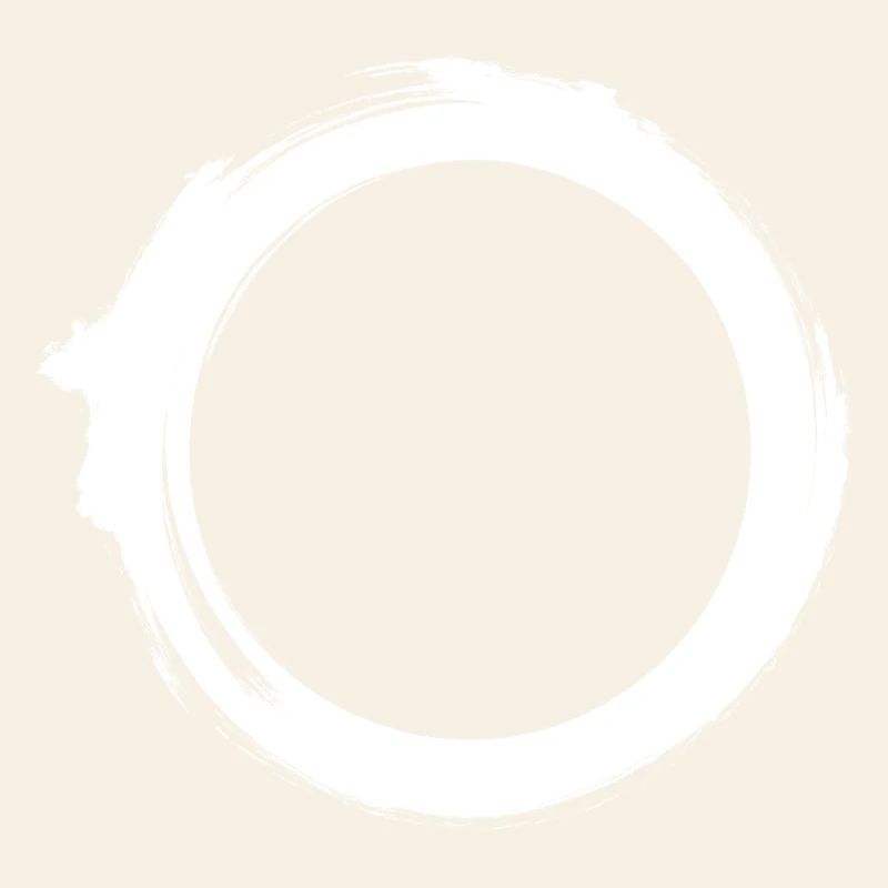 Black Hole Universe Silhouette Minimal Physics