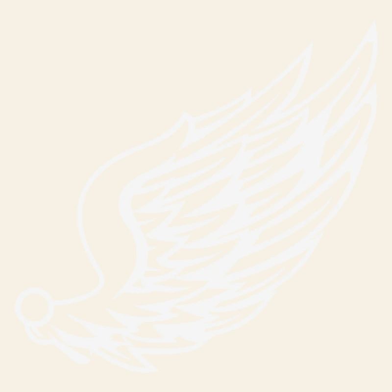 Ailes avec dessin de plumes dynamiques