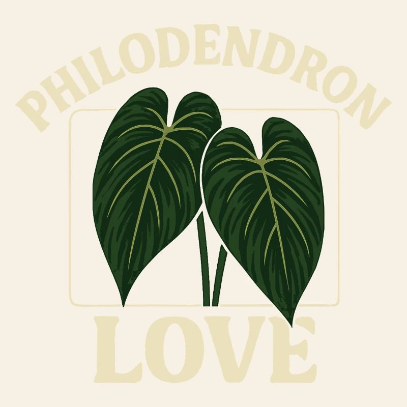 Amour des philodendrons