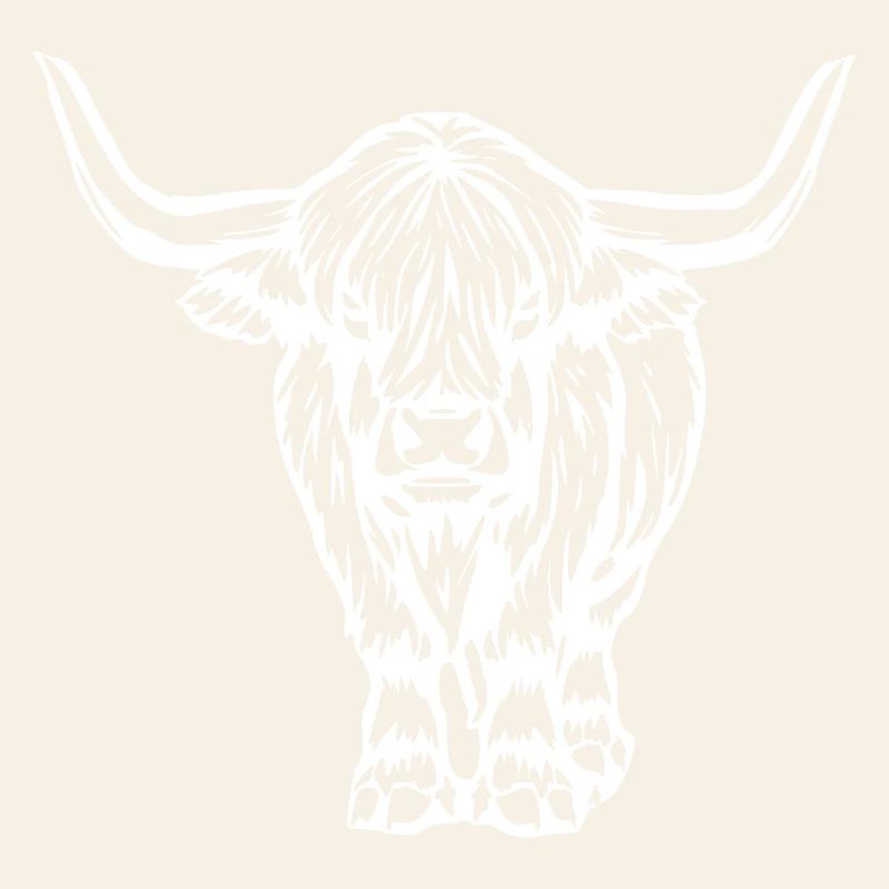 Scottish Highland cattle white