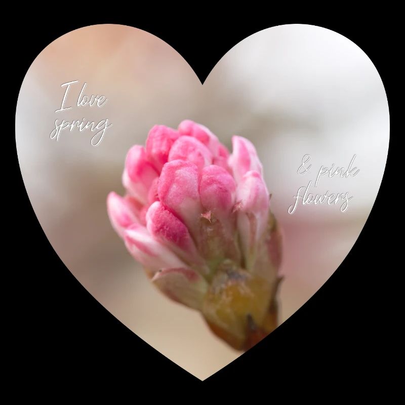 Spring love a pink blossom heart