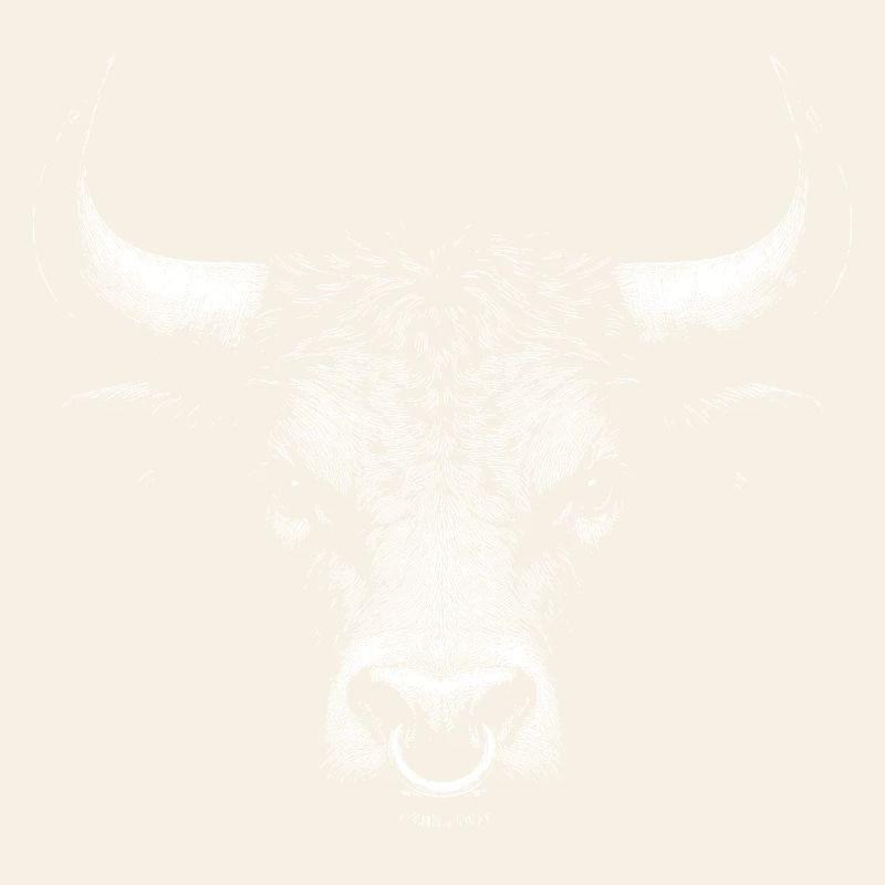 Taureau